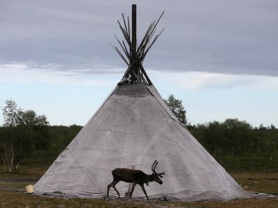 Фото: ТАСС Фото: ТАСС